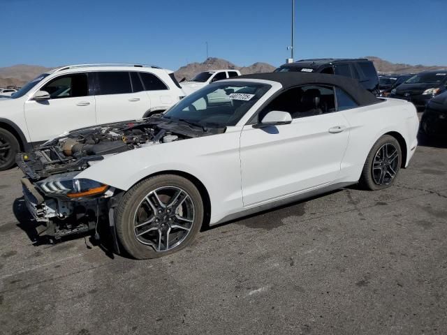 2019 Ford Mustang