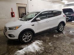 Clean Title Cars for sale at auction: 2017 Ford Escape SE