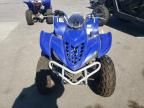 2006 Yamaha YFM350 AS