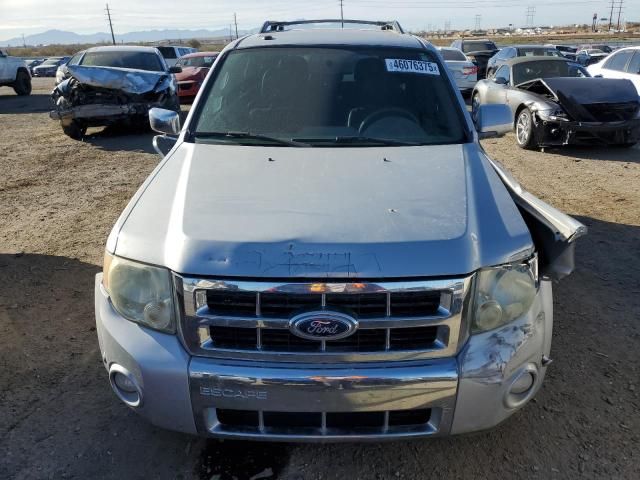 2010 Ford Escape Limited