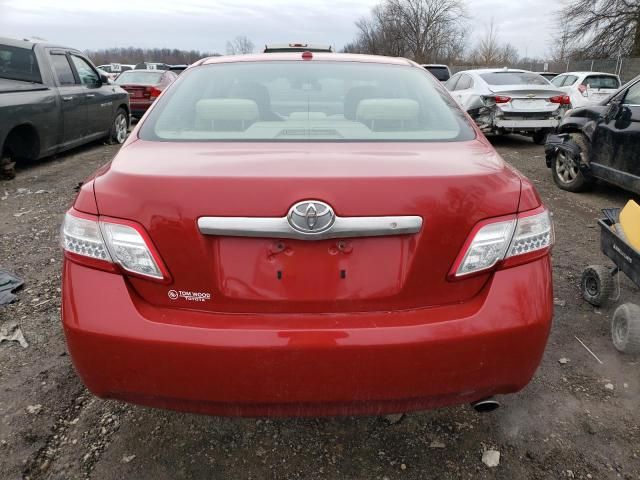 2010 Toyota Camry Hybrid