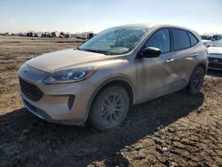 Salvage cars for sale at Houston, TX auction: 2020 Ford Escape SE Sport