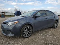 Salvage cars for sale from Copart Houston, TX: 2015 Toyota Corolla L