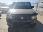 2008 Honda Element SC