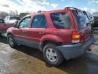 2004 Ford Escape XLT