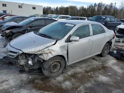 Salvage cars for sale from Copart Cookstown, ON: 2011 Toyota Corolla Base