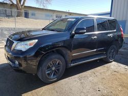 Salvage SUVs for sale at auction: 2013 Lexus GX 460 Premium