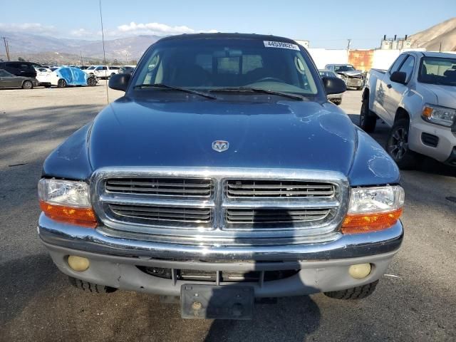 2001 Dodge Dakota Quattro