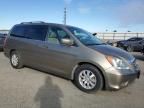 2010 Honda Odyssey EXL