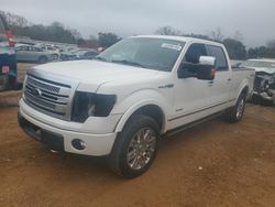 Salvage cars for sale at Theodore, AL auction: 2013 Ford F150 Supercrew