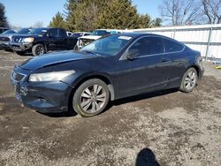 Salvage cars for sale at Finksburg, MD auction: 2009 Honda Accord EXL