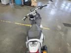 2007 Genuine Scooter Co. Rattler 110