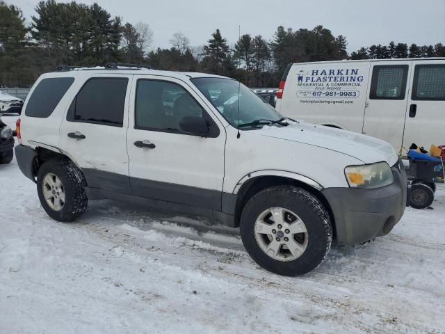 2005 Ford Escape XLT