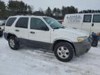 2005 Ford Escape XLT