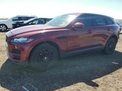 Clean Title Cars for sale at auction: 2017 Jaguar F-PACE Prestige