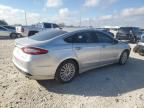 2016 Ford Fusion SE Hybrid