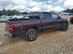 2005 Dodge Dakota Quad SLT