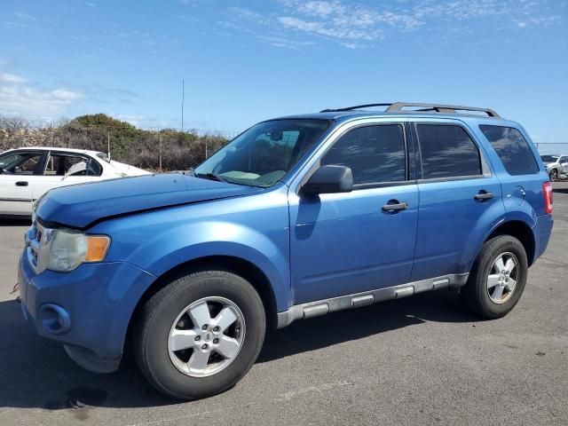 2010 Ford Escape XLS