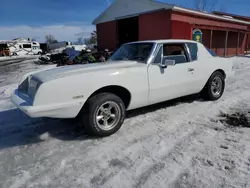 Salvage cars for sale at Albany, NY auction: 1985 Avanti Avanti