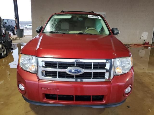 2012 Ford Escape XLT