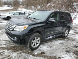 Salvage cars for sale at Marlboro, NY auction: 2012 Lexus GX 460