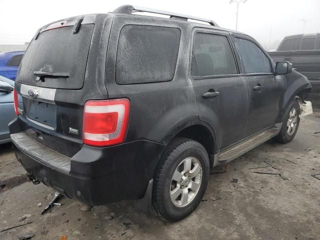 2011 Ford Escape Limited