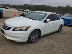 Honda salvage cars for sale: 2012 Honda Accord EXL