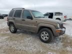 2002 Jeep Liberty Limited