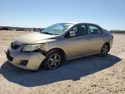 Salvage cars for sale at San Antonio, TX auction: 2009 Toyota Corolla Base