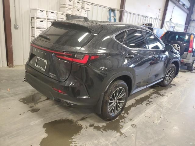 2024 Lexus NX 350H Base