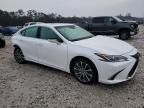 2020 Lexus ES 350