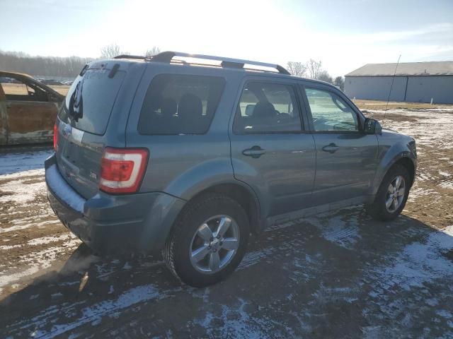 2011 Ford Escape Limited