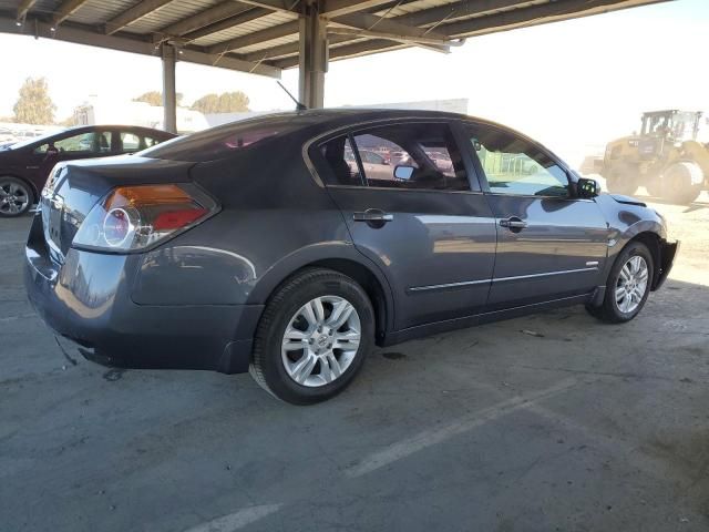 2010 Nissan Altima Hybrid