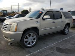 Cadillac Escalade salvage cars for sale: 2008 Cadillac Escalade ESV