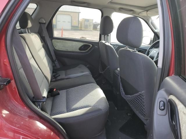 2004 Ford Escape XLT