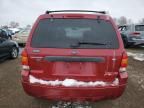 2007 Ford Escape XLT