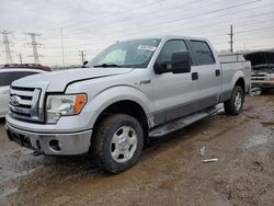 Salvage Cars with No Bids Yet For Sale at auction: 2010 Ford F150 Supercrew