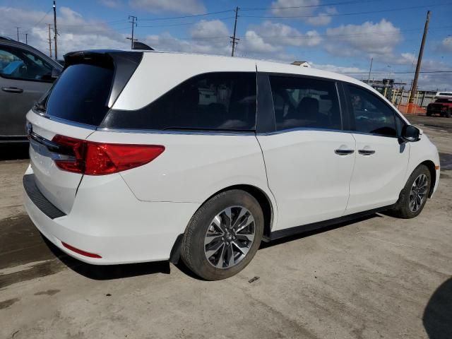 2023 Honda Odyssey EXL