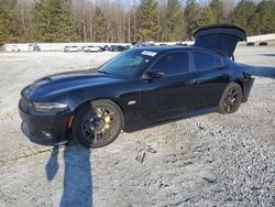 Salvage cars for sale at Gainesville, GA auction: 2017 Dodge Charger R/T 392