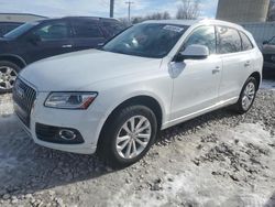 Audi q5 Premium Plus salvage cars for sale: 2016 Audi Q5 Premium Plus