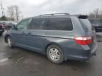 2005 Honda Odyssey EXL