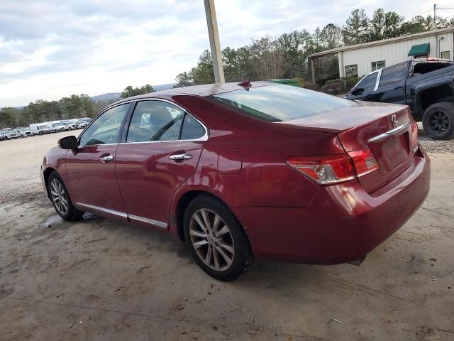 2011 Lexus ES 350