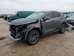 2024 Lexus NX 250 Base en venta en Houston, TX