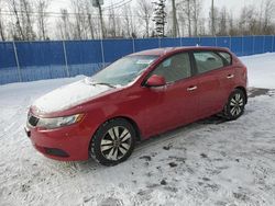 Salvage cars for sale at auction: 2013 KIA Forte EX