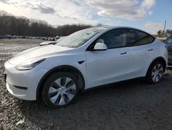 Salvage cars for sale at Windsor, NJ auction: 2021 Tesla Model Y