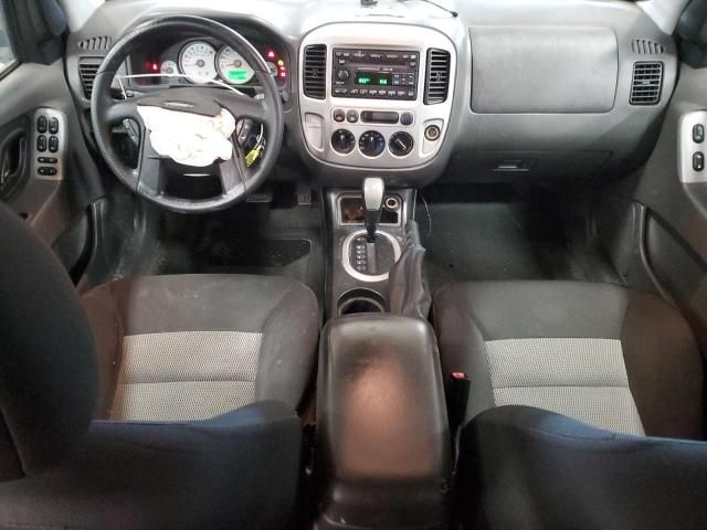 2007 Ford Escape XLT