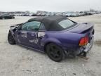 1999 Ford Mustang Cobra SVT