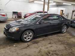 2010 Chevrolet Malibu 1LT en venta en Ham Lake, MN