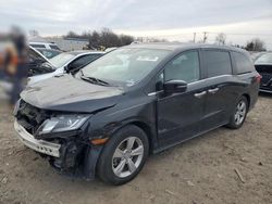 2019 Honda Odyssey EXL en venta en Hillsborough, NJ