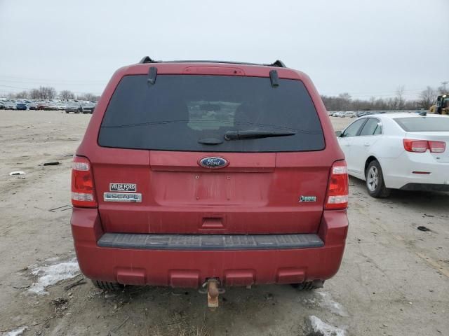 2012 Ford Escape XLT